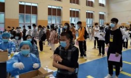 耀世金龙爆料最新消息,最新热点事件深度解析